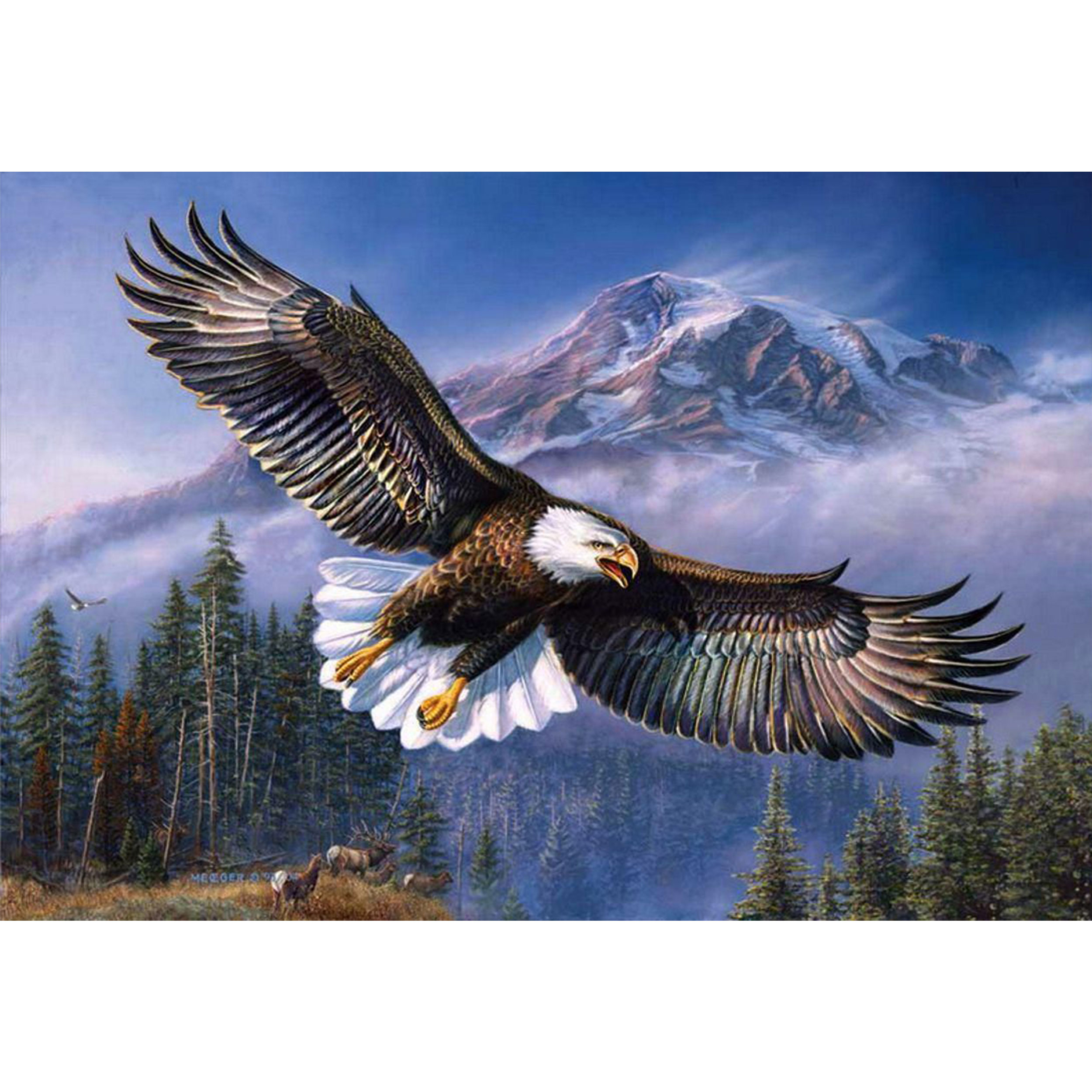 تابلو شاسی طرح پرنده عقاب کوه مدل T1448