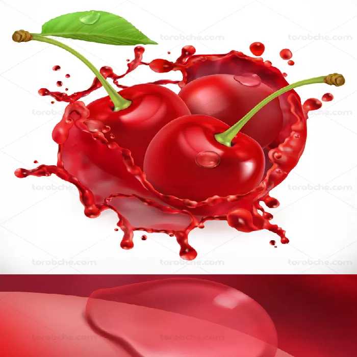 وکتور طرح میوه آلبالو و آب آلبالوی تازه - گرافیک با طعم تربچه