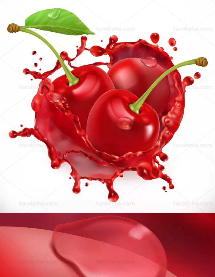 وکتور طرح میوه آلبالو و آب آلبالوی تازه - گرافیک با طعم تربچه