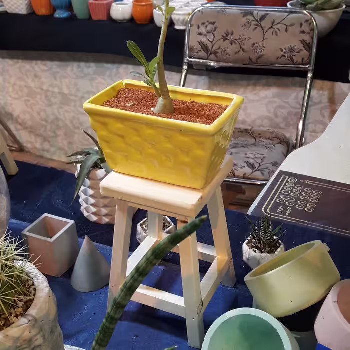 چهار پایه فانتزی(پس کرایه)