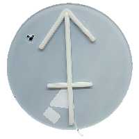 چراغ دیواری مدل نئون NEON-SAGITTARIUS