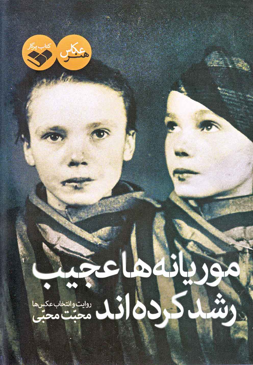 کتاب موریانه ها عجیب رشد کرده اند