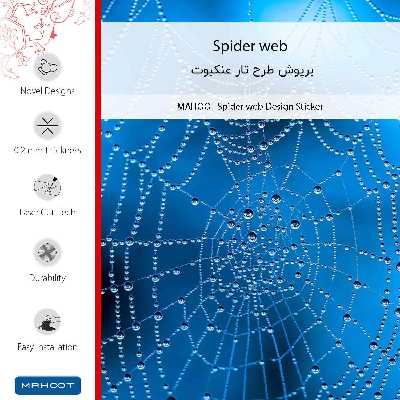 برچسب پوششی ماهوت مدل Spider web-FullSkin مناسب برای گوشی موبایل سامسونگ Galaxy A71