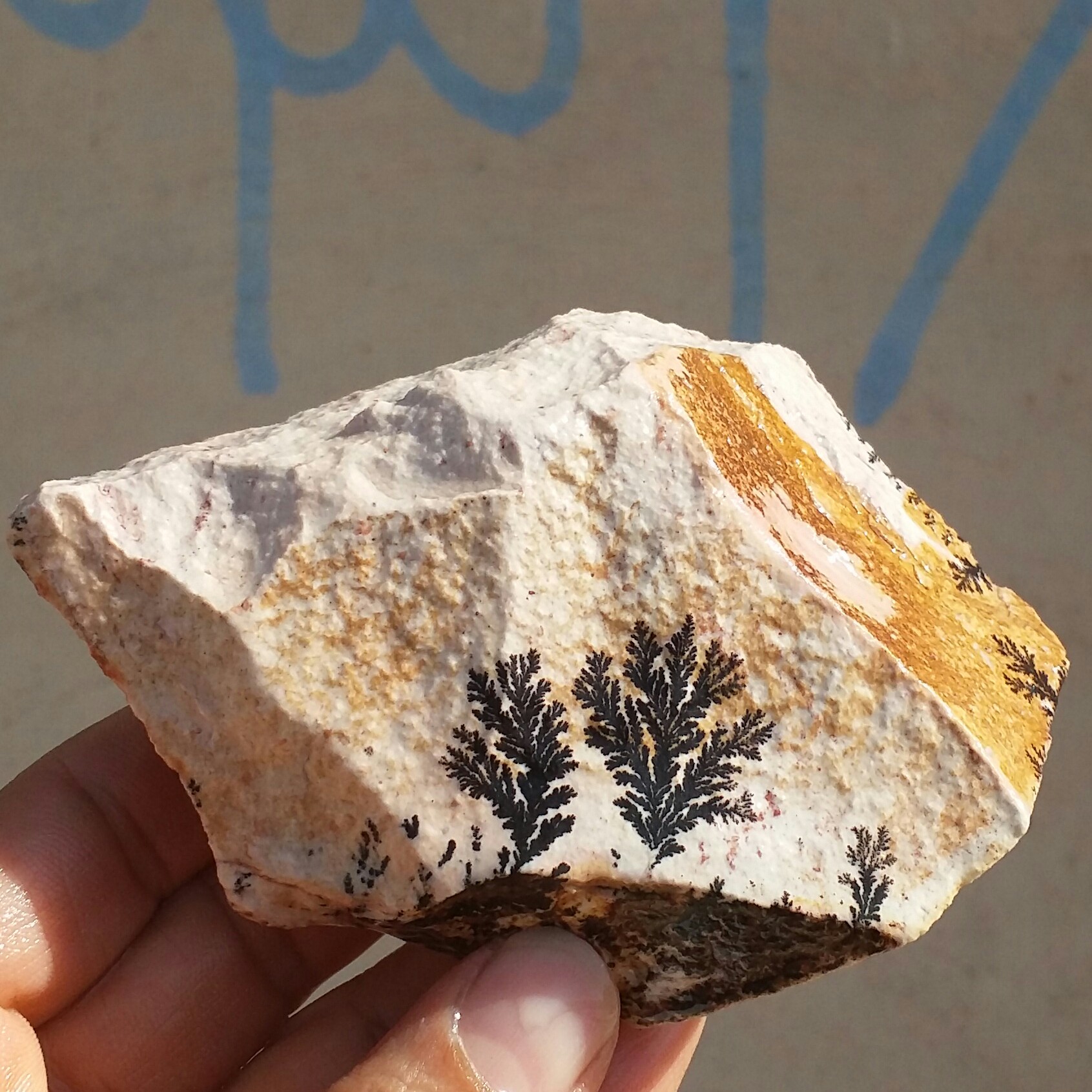 سنگ راف 100 در 100 طبیعی شجر دندریتی یا فسیلی درشت محشر  خاص شاهکار خلقت
شجر واضح خاص
تصویر از  3 طرف نمونه
کد 11039