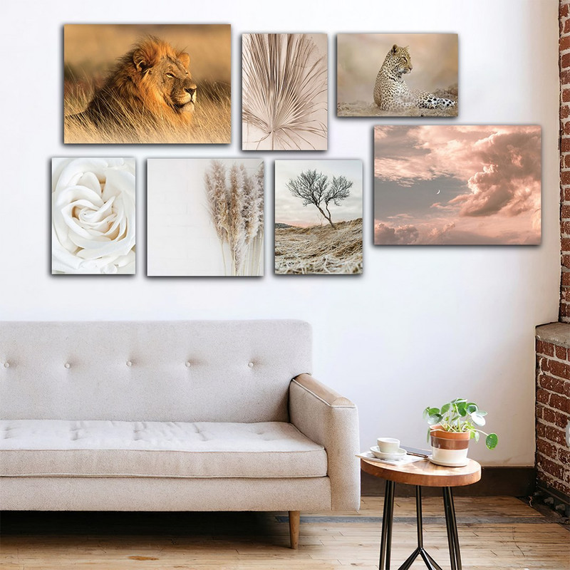 تابلو شاسی دنیای قابطرح عکاسی حیات وحش شیر و طبیعت مدل SH-873 مجموعه 7 عددی | دنیای قاب