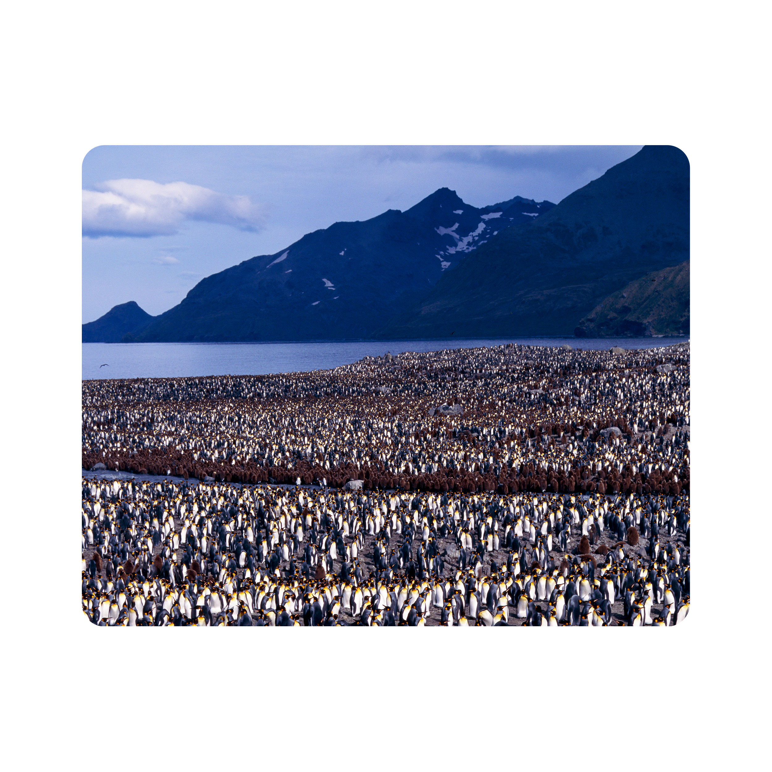 ماوس پد اطلس آبی طرح کوه و پنگوئن  مدل T2056