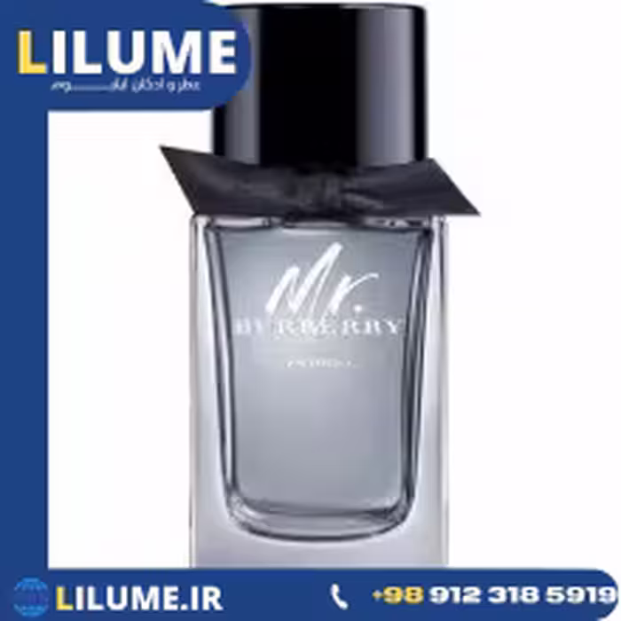 عطر ادکلن باربری مستر باربری ایندیگو 100 میل مردانه