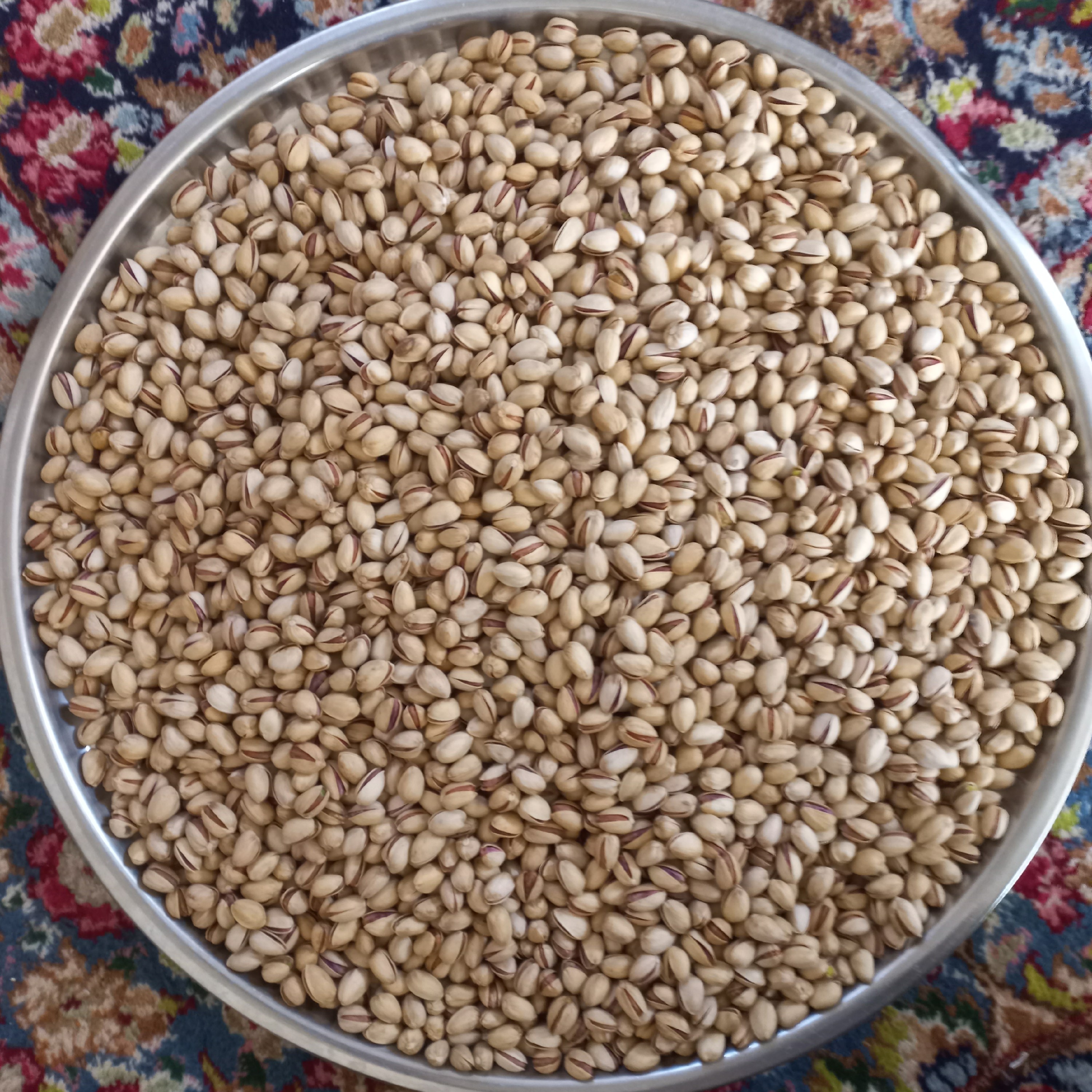 پسته خندان