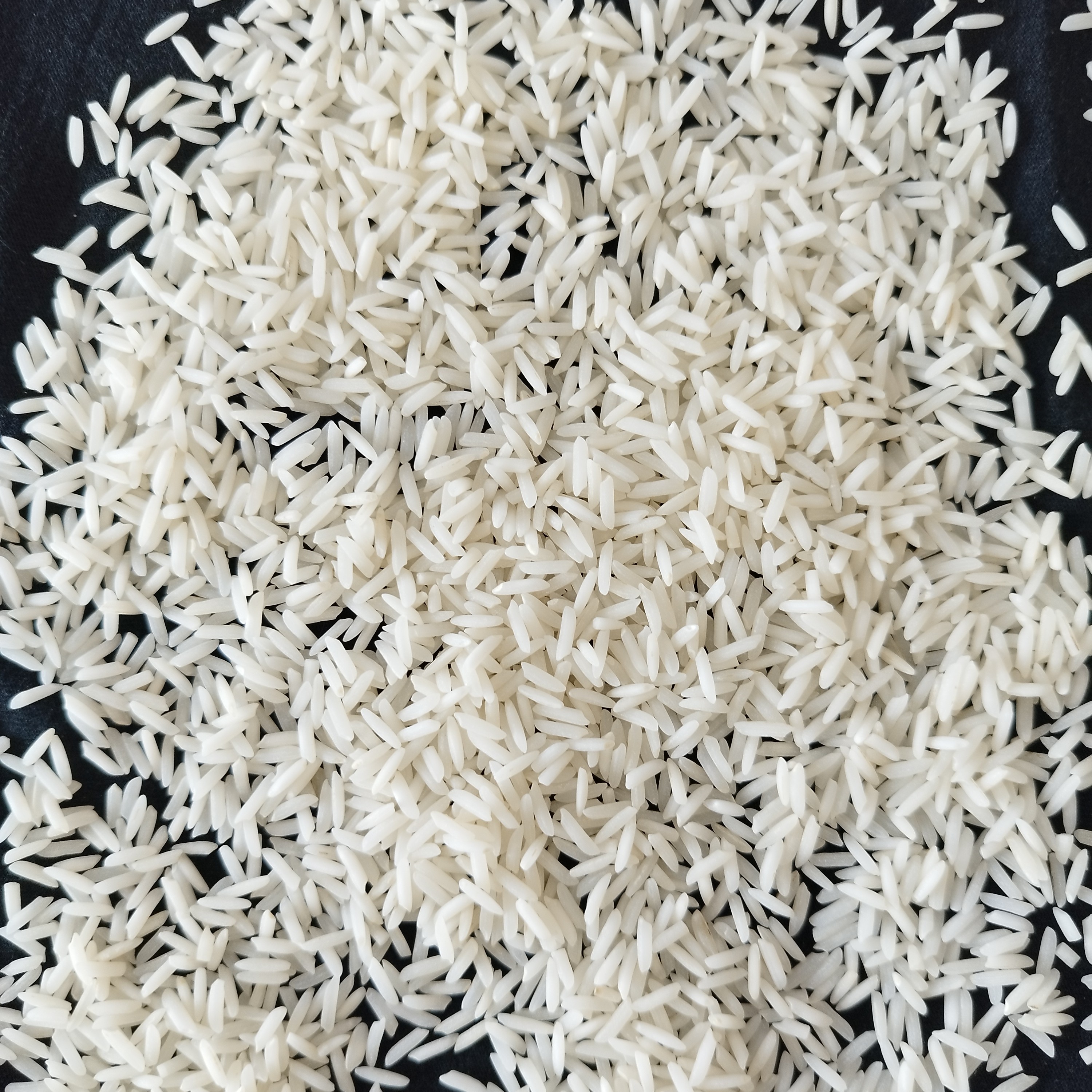 برنج طارم استخوانی فریدونکنار برنج صددرصد ایرانی خالص مستقیم از تولید کننده 10کیلویی سورت شده ارسال بصورت پسکرایه