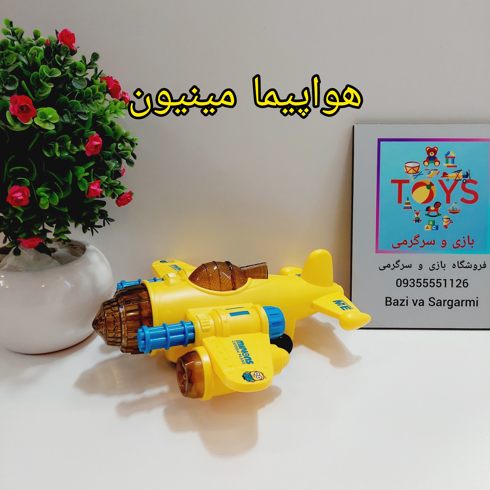 هواپیما مینیون