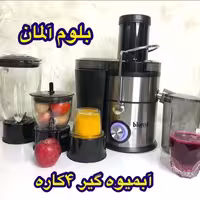 آبمیوه گیر 4 کاره بلوم آلمان بدنه استیل