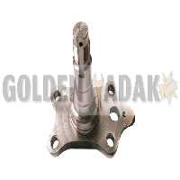 توپی چرخ عقب تیبا - گلدن یدک