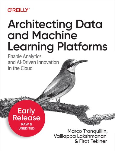 خرید و دانلود نسخه کامل کتاب Architecting Data and Machine Learning Platforms (Second Early Release)