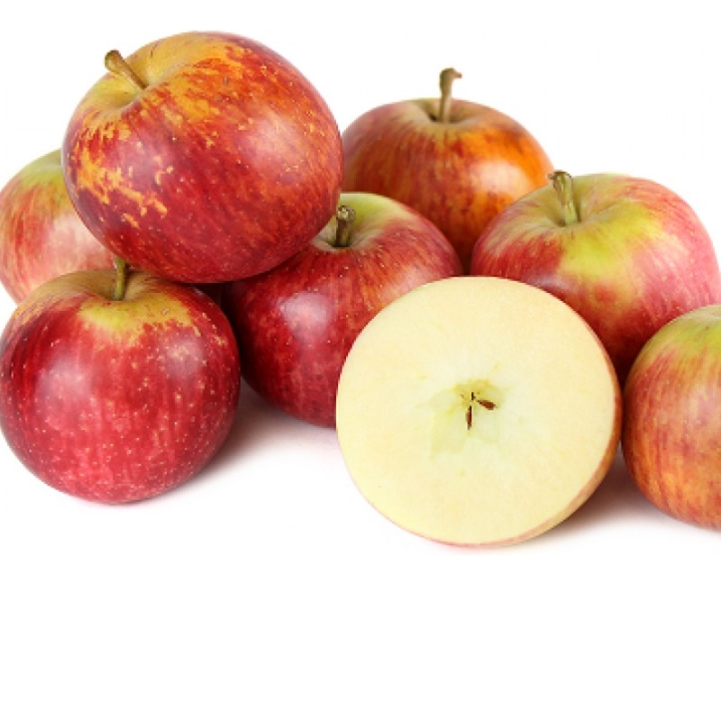 نهال سیب فوجی ژاپن