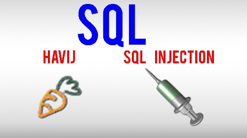 Havij راھنمای استفاده از 1.1