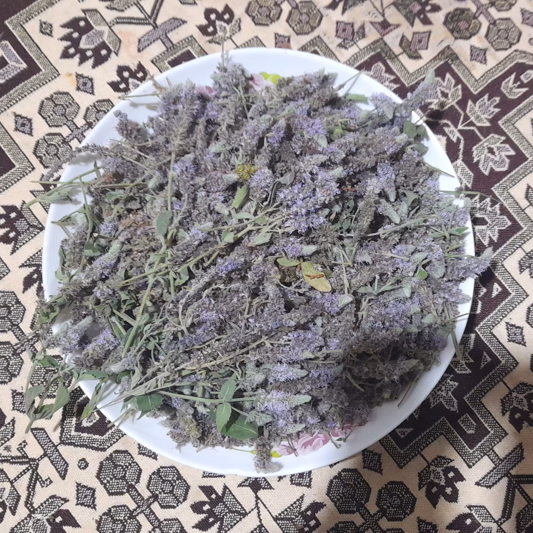 گل پونه 