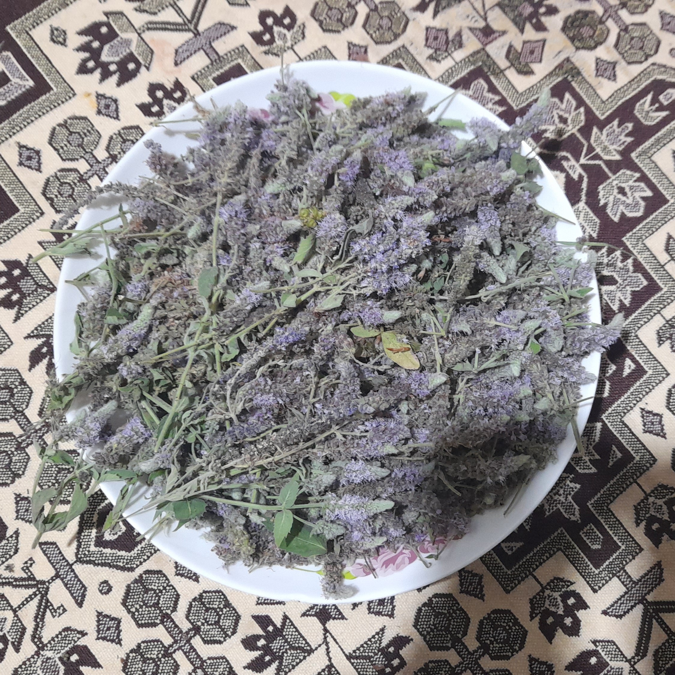گل پونه