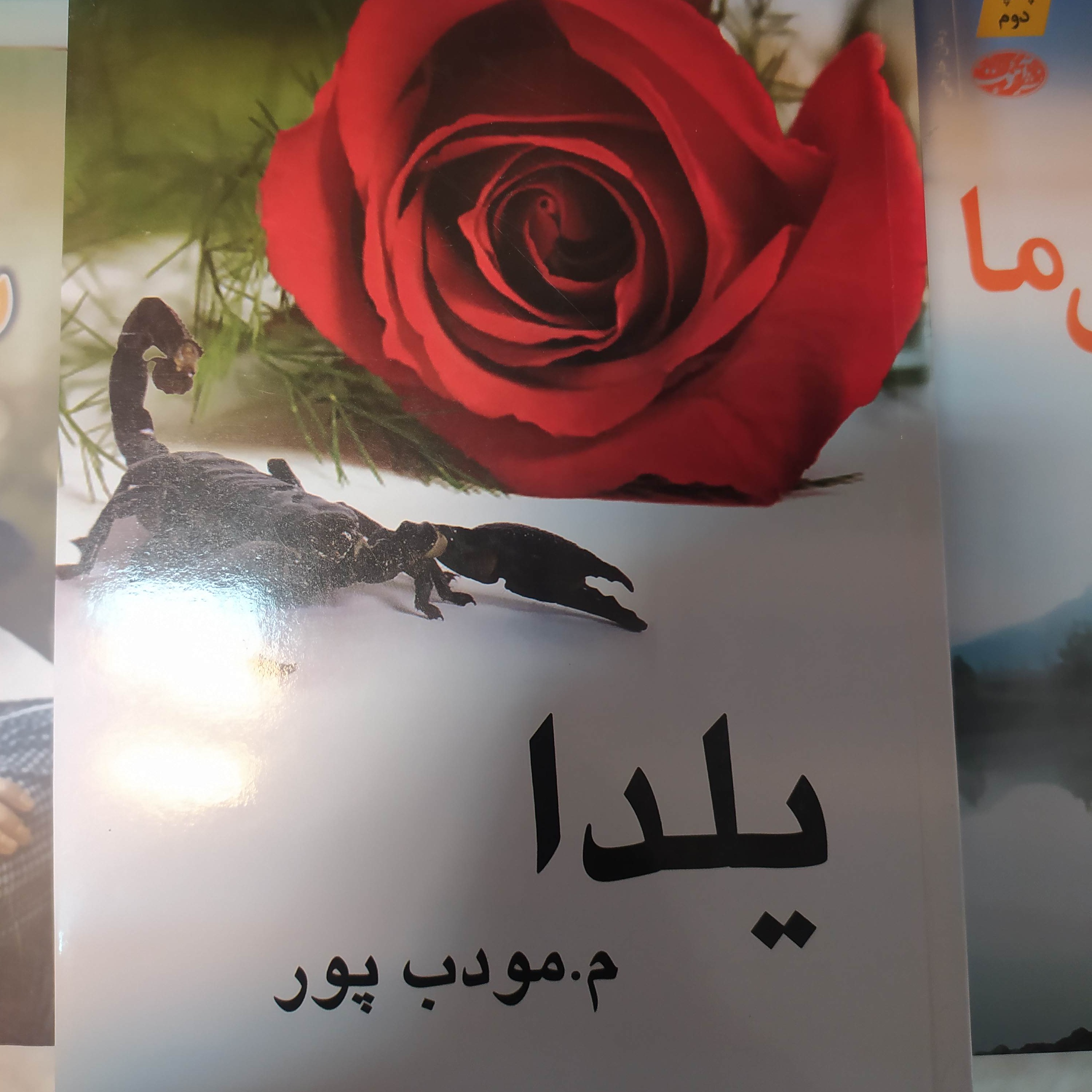 رمان یلدا مودب پور