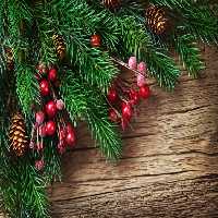خرید و دانلود عکس Christmas_gift-6 کد 12334 | پیک فاکس | Pic Fox