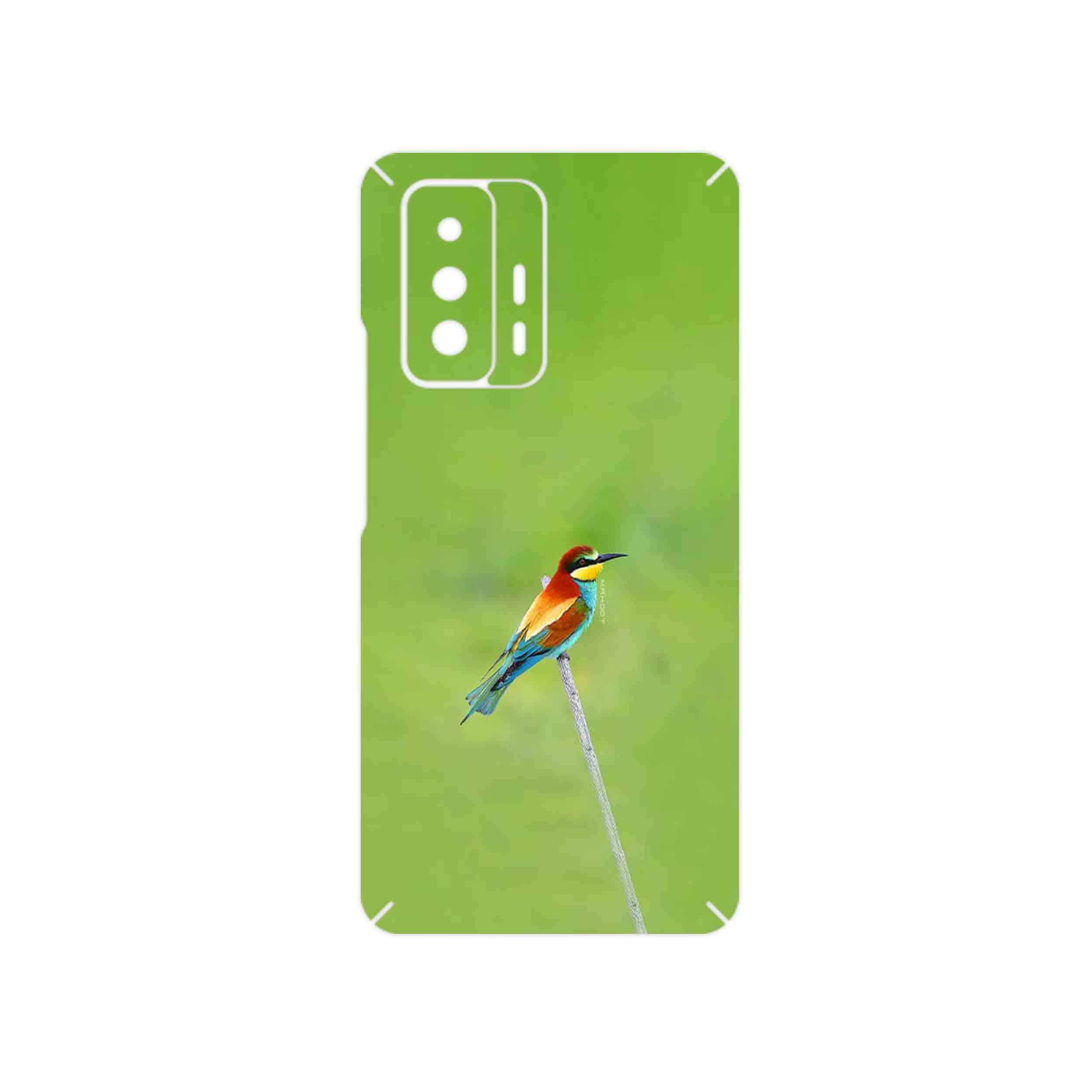 برچسب پوششی ماهوت مدل European bee-eater مناسب برای گوشی موبایل شیائومی 11T 5G