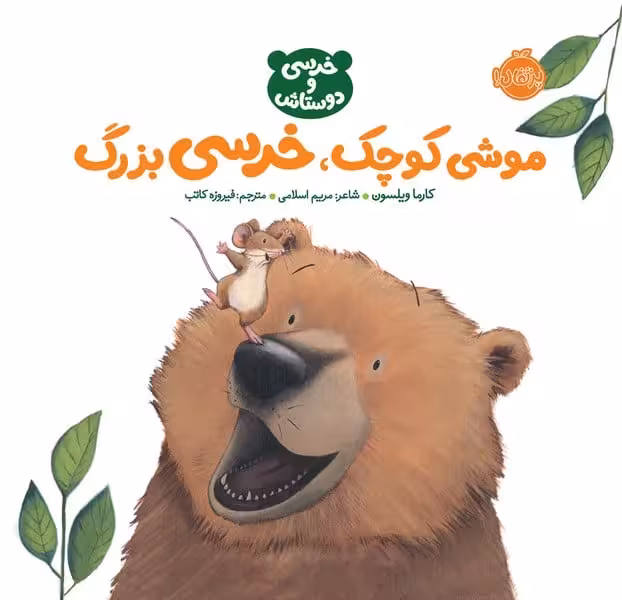 موشی کوچک خرسی بزرگ - کتاب‌فروشی کوچه کتاب