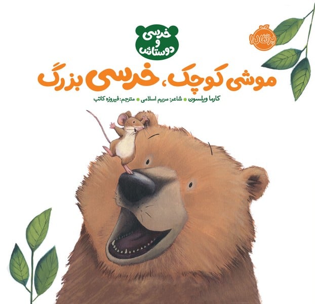 موشی کوچک خرسی بزرگ - کتابفروشی کوچه کتاب