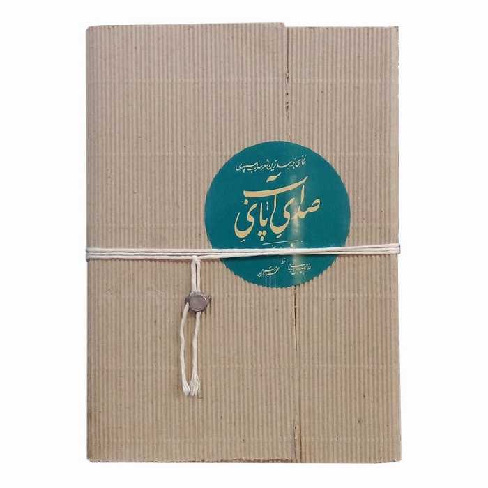 صدای پای آب