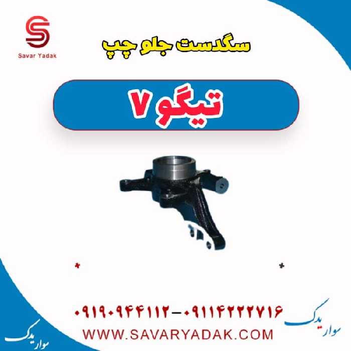 سگ دست جلو چپ تیگو7