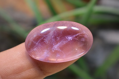 امتیست دامله(کاپوشی)