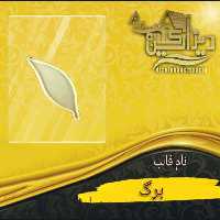 قالب سیلیکونی برگ ساده