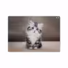 برچسب پوششی ماهوت مدل Cat-2 مناسب برای تبلت اپل iPad Pro 10.5 2017 A1701