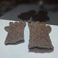 دست کش پشمی