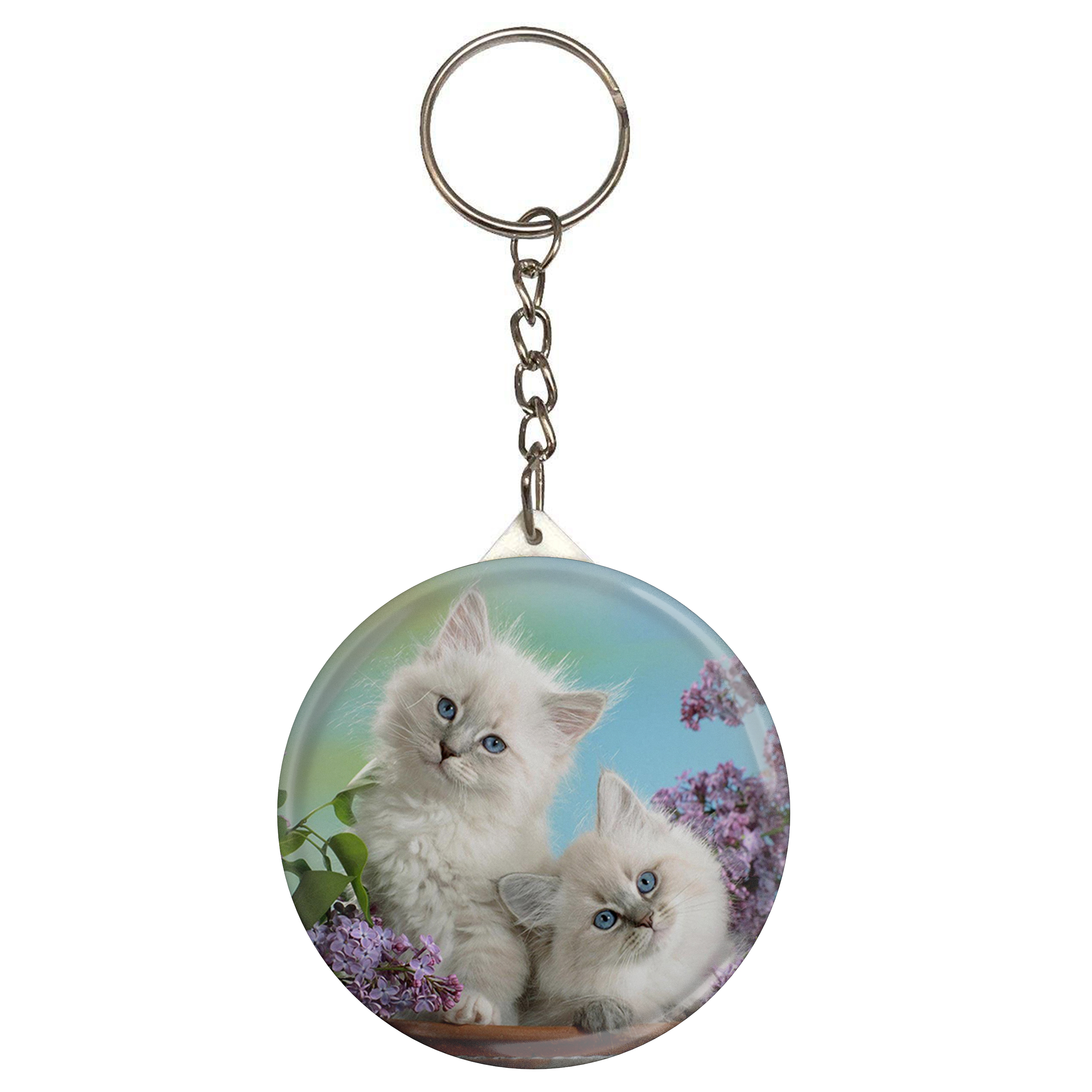 جاکلیدی طرح گربه مدل S1100