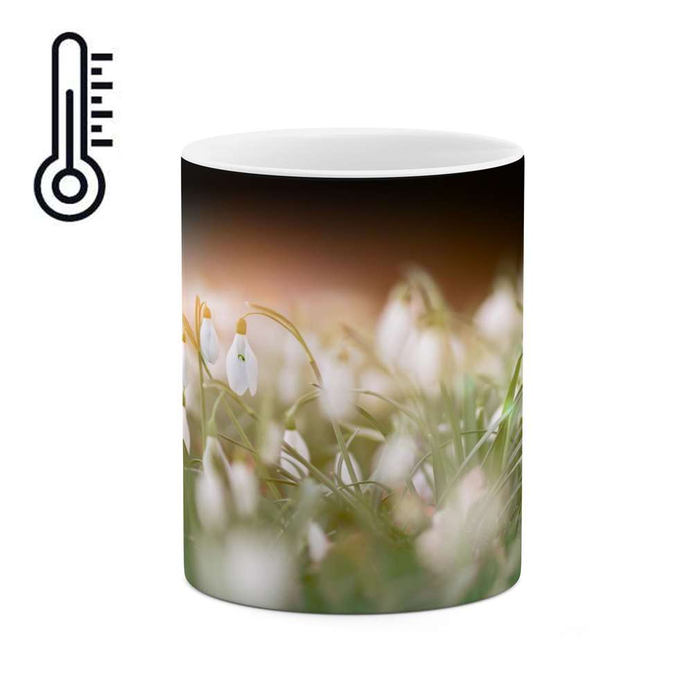 ماگ حرارتی کاکتی طرح گل مدل mgh16229