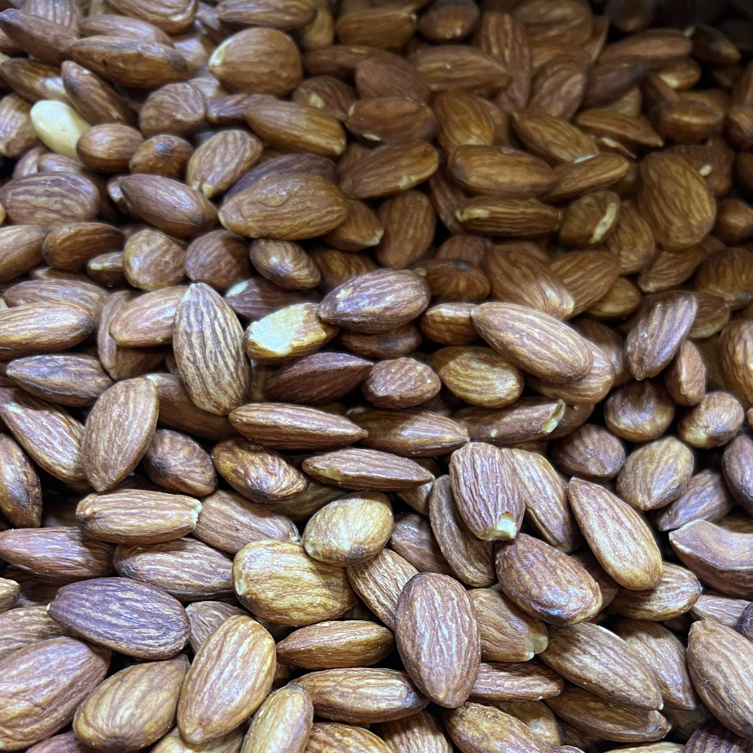 بادام درختی شور