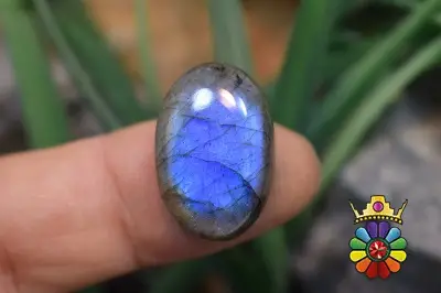 لابرادوریت