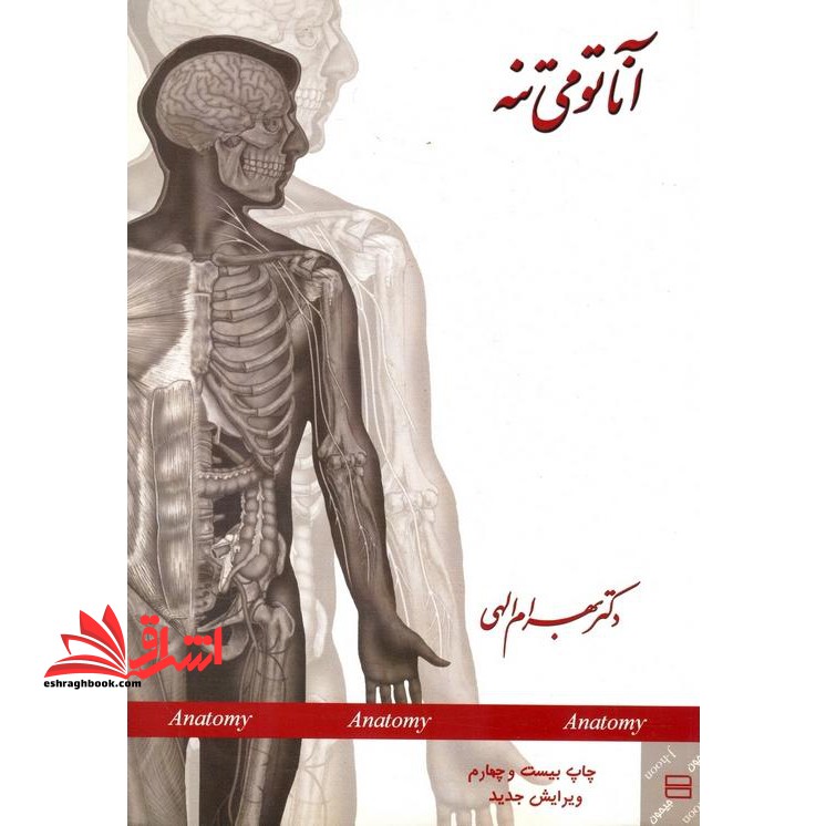 آناتومی تنه - فروشگاه کتاب اشراق