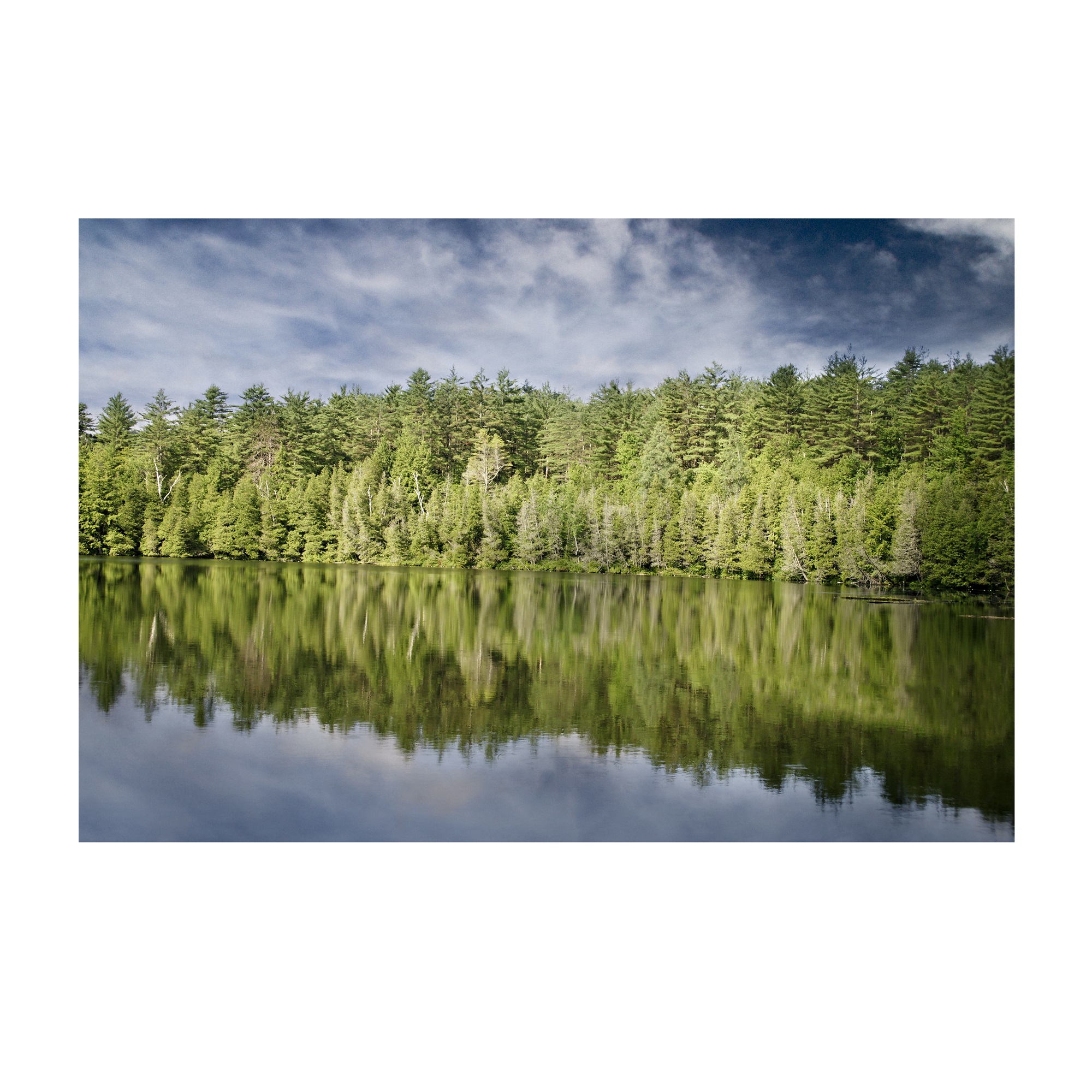 تابلو شاسی جوان مدل برکه سبز