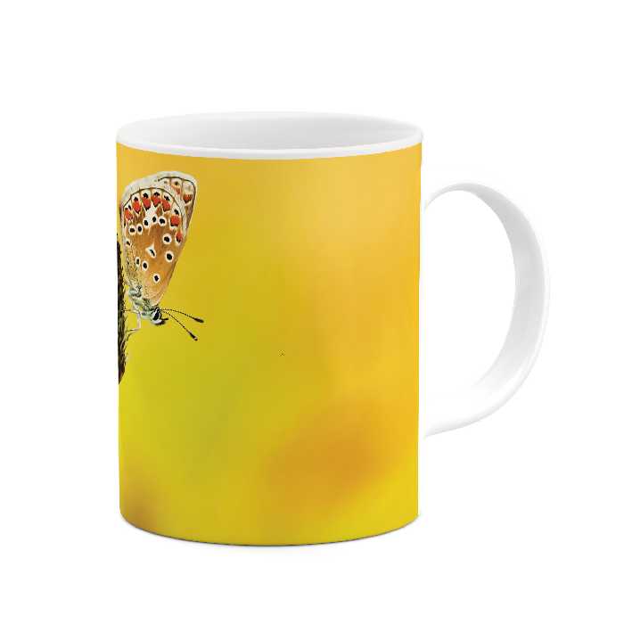 ماگ طرح پروانه و سنجاقک مدل mug03440