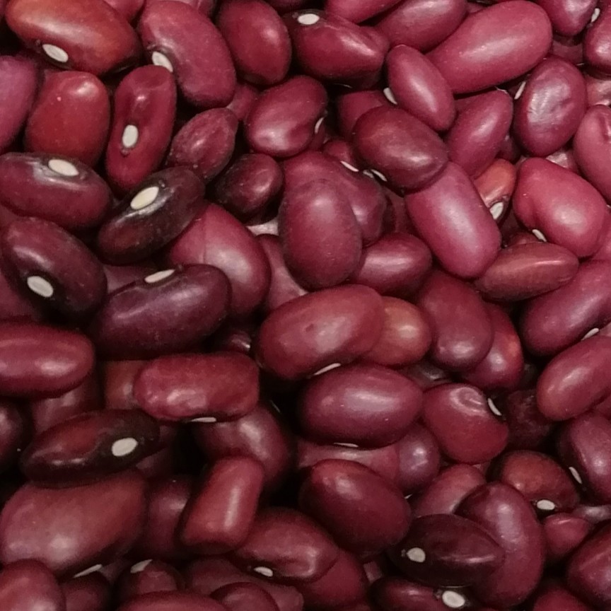 لوبیا قرمز پاک شده به شرط پخت دادلی آذربایجان) 