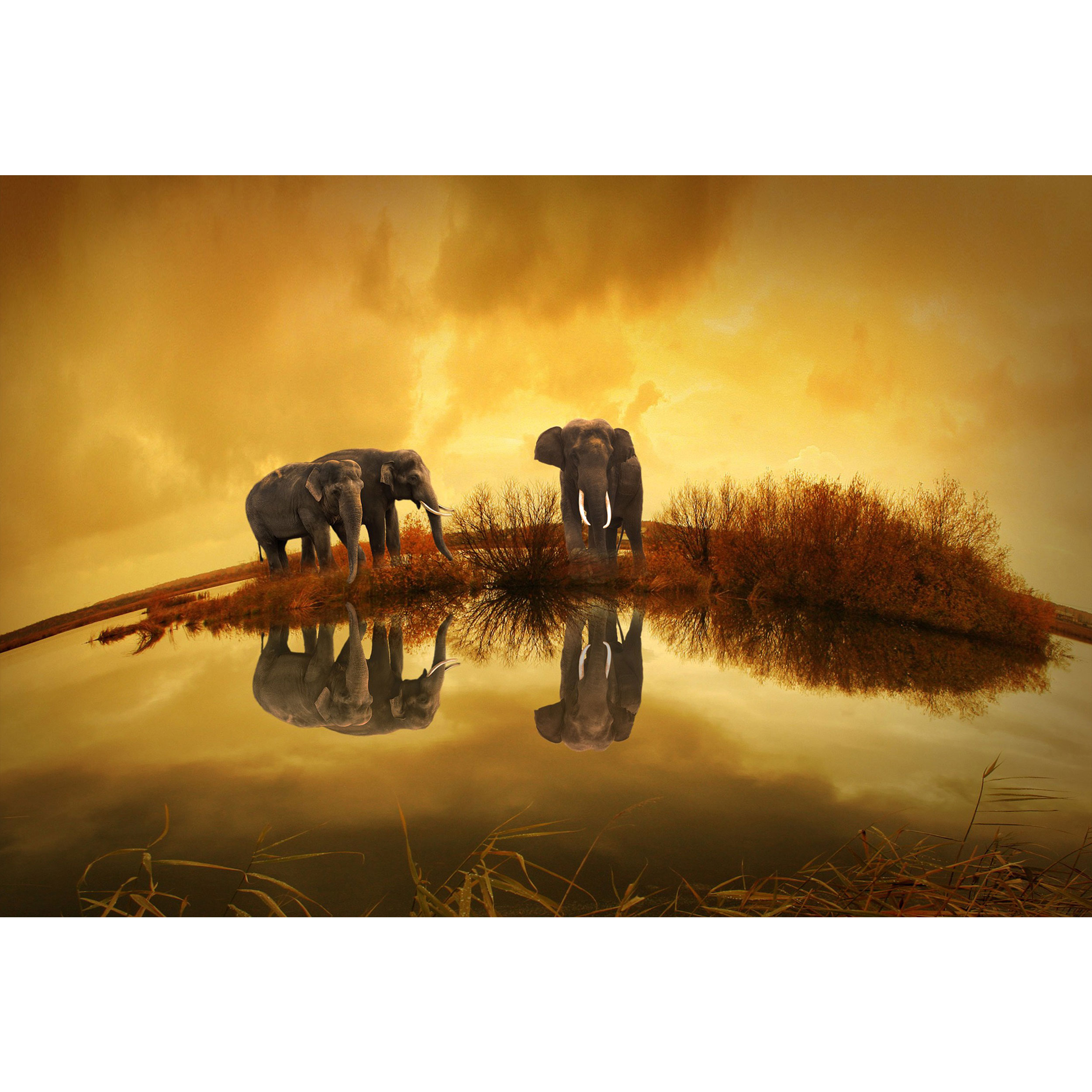 تابلو شاسی طرح فیل و برکه مدل T1568