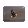 برچسب پوششی ماهوت مدل Eagle مناسب برای تبلت اپل iPad Pro 11 2018 A1980