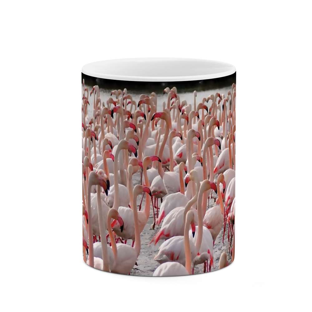 ماگ طرح فلامینگو مدل mgs07012