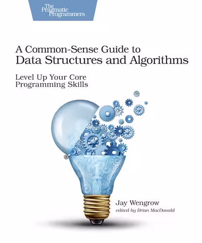خرید و دانلود نسخه کامل کتاب A Common-Sense Guide to Data Structures and Algorithms: Level Up Your Core Programming Skills