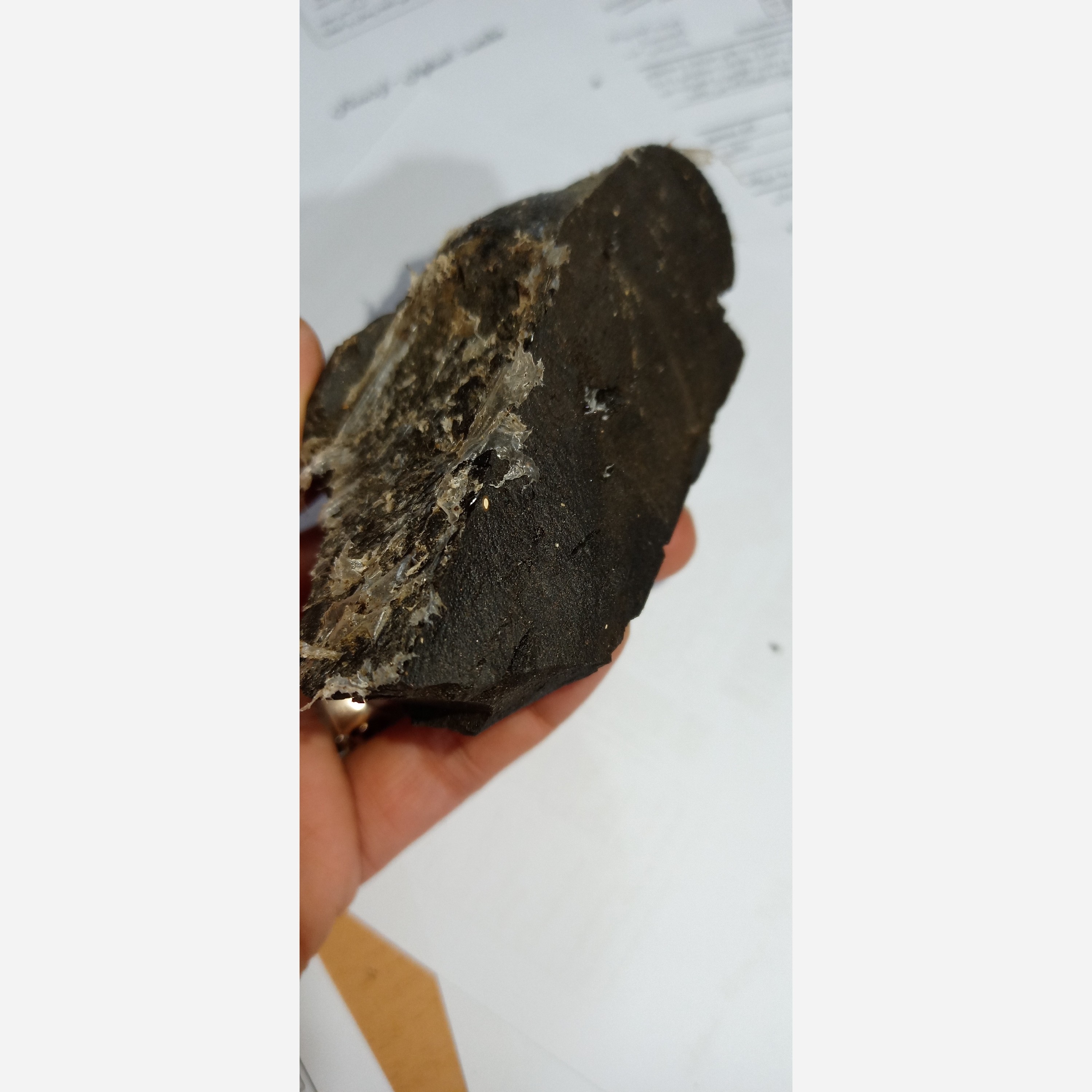 مومیایی سنگ(50 گرم) 