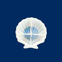 قالب رزین اپوکسی مدل زیر لیوانی لبه دار کد TY-300 