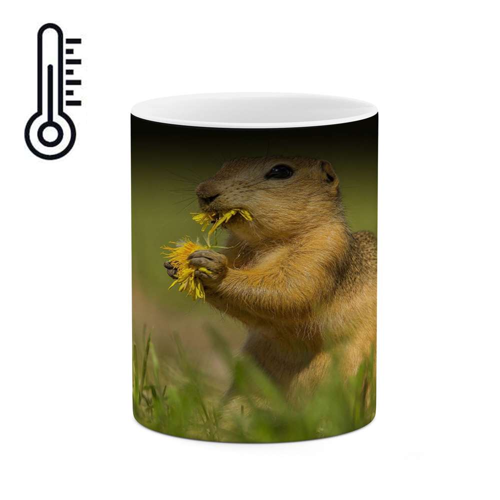 ماگ حرارتی کاکتی طرح سنجاب مدل mgh16605