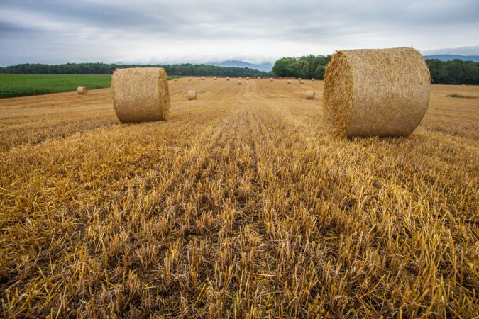 خرید و دانلود عکس Harvesting Wheat کد 25066 | پیک فاکس | Pic Fox