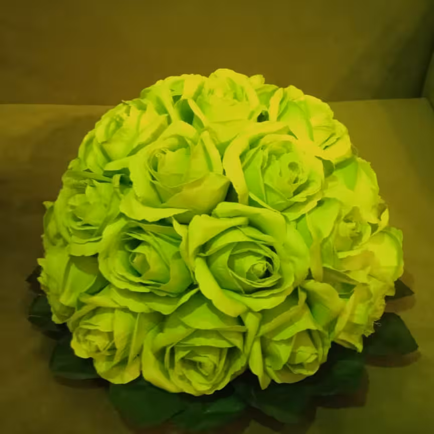 گل رز  مصنوعی هلندی سبز  مدل رومیزی