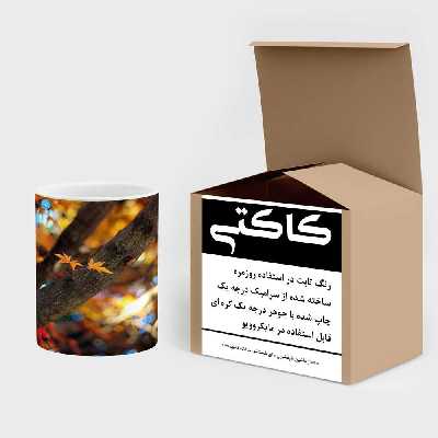 ماگ کاکتی طرح پاییز مدل mgh19328